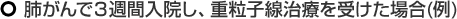 肺がんで3週間入院し、重粒子線治療を受けた場合(例)