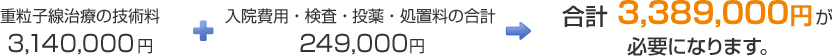 重粒子線治療の技術料 3,140,000円 + 入院費用・検査投薬・処置料の合計 249,000円 + 合計3,389,000円が必要になります。