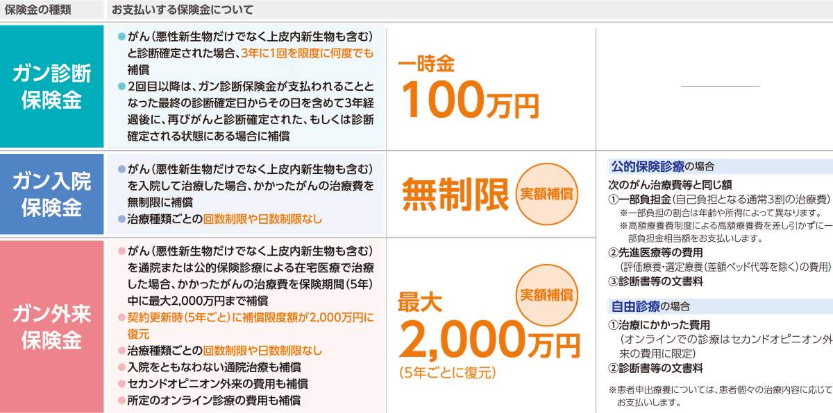 保険金の種類ごとの補償内容を示した図。ガン診断は一時金100万円、ガン入院は無制限の実額補償、ガン外来は最大2,000万円（5年ごとに復元）。